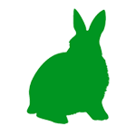 うさぎ | rabbit